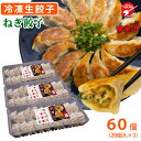 【全品ポイント5倍★マラソン期間中★要エントリー】 お好み焼ゆかり 大阪ねぎ餃子 60個(20個入×3) 冷凍 送料無料