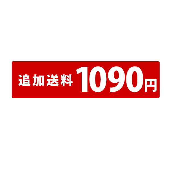 追加送料　通常地域（1090円）