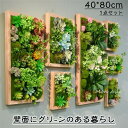 壁飾り 観葉植物 お花壁飾り 壁掛けインテリア 造花 寄せ植え お祝い ティランドシア アレンジ おしゃれ 木製パネル グリーンパネル ギフト