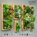 フェイクグリーン 壁掛け 造花 人工観葉植物 寄せ植え お祝い 壁 ティランドシア アレンジ おしゃれ 木製パネル アートフラワー グリーンパネル ギフト 壁