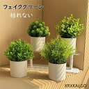 フェイク花 フェイクグリーン 造花グリーン 枯れない花 人工観葉植物 フェンス 卓上ポット ナチュラルポット フェイク 玄関飾り グリーン モダン インテリア ...