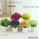 フェイク花 フェイクグリーン 造花グリーン 枯れない花 人工観葉植物 フェンス 卓上ポット ナチュラルポット フェイク 玄関飾り グリーン モダン インテリア ...