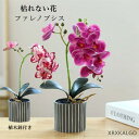 フェイク花 フェイクグリーン ファレノプシス 造花グリーン 枯れない花 人工観葉植物 フェンス 卓上ポット ナチュラルポット フェイク 玄関飾り 寄せ植え モダン インテリア 玄関 室内 プランター 飾り 引越し祝い 新築祝い(4)