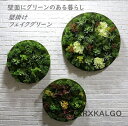 フェイクグリーン 壁掛け フェイク花 造花 人工観葉植物 寄せ植え フェイクグリーン ハイドランジア 造花グリーン 枯れない花 お祝い 壁 ティランドシア アレンジ おしゃれ 木製パネル アートフラワー グリーンパネル ギフト 壁