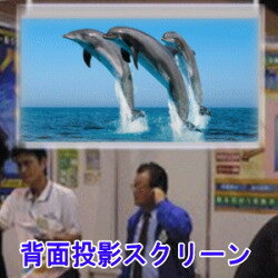 ガラスフィルム 窓 背面投影 サイバ