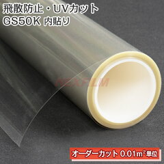 https://thumbnail.image.rakuten.co.jp/@0_mall/nexfilm/cabinet/item01/gs50km2-tmb.jpg