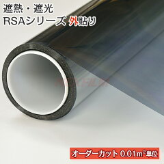 https://thumbnail.image.rakuten.co.jp/@0_mall/nexfilm/cabinet/item01/nf-rsaexm2-tmb.jpg