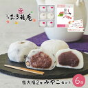 和菓子 大福 スイーツ 敬老の日 ギフト お菓子 みやこセット6個入 お取り寄せ 黒豆塩大福 塩大福 豆大福 つぶあん こしあん 詰め合わせ 京都 だいふく プレゼント ギフトカード 贈り物 慶事 弔事 結婚祝い 出産祝い 卒業祝い お祝い お返し お渡し お供え お盆 送料無料