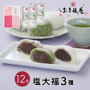 和菓子 ギフトスイーツ お菓子 塩大福3種セット12個入 大福 お取り寄せ 黒豆塩大福 塩大福 豆大福 つぶあん こしあん よもぎ 羽二重餅 詰め合わせ 京都 大福 プレゼント ギフトカード 慶事 結婚祝 入学祝 卒業祝 還暦 弔事 お供えお盆 お彼岸 送料無料