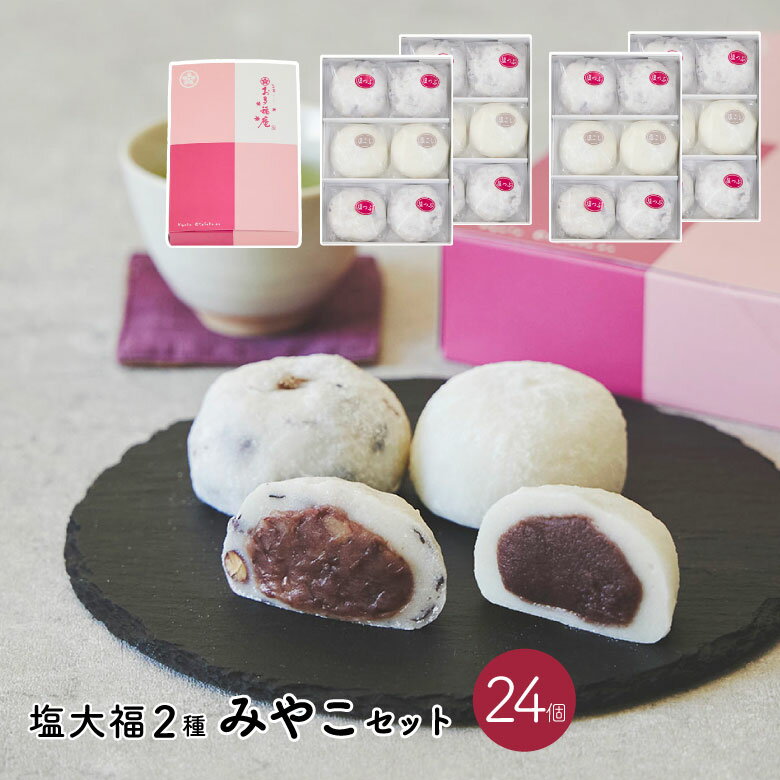 みやこセット24個入 大福 ギフト ホワイトデー お取り寄せ 黒豆塩大福 塩大福 豆大福 つぶあん こしあん 和菓子 詰め合わせ 京都 だいふく プレゼント ギフトカード お土産 贈り物 慶事 結婚祝い 入学祝い 卒業祝い 還暦 弔事 お供えお盆 お彼岸 送料無料