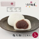 羽二重塩大福 こしあん 3個入り 大福 ギフト お取り寄せ 塩大福 北海道産 あずき 羽二重餅米 人気 和菓子 京都 プレゼント お土産 贈り物 お祝い お礼 ...