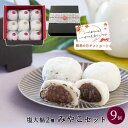 敬老の日 スイーツ ギフト お菓子 セット みやこ大福お重セット9個入(塩大福2種) 大福 お取り寄せ 黒豆塩大福 塩大福 つぶあん こしあん 和菓子 詰め合わせ 京都 だいふく プレゼント ギフトカード 結婚祝い 送料無料