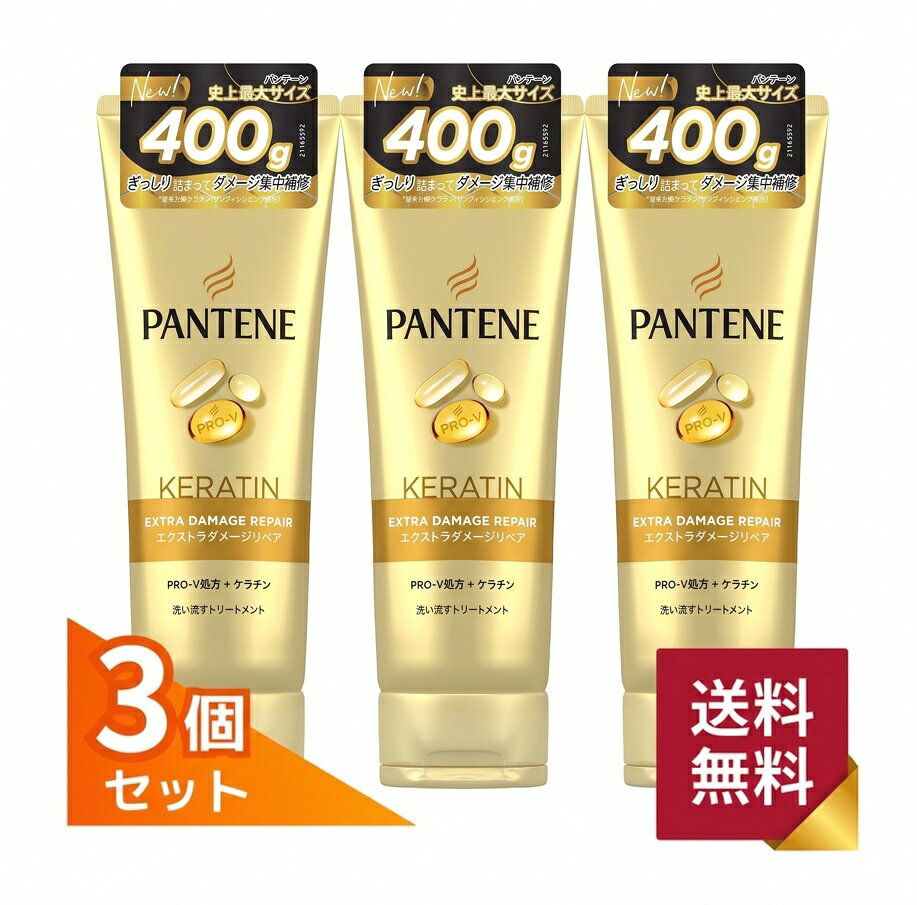 パンテーン エクストラダメージリペア 洗い流すトリートメント特大サイズ 400g
