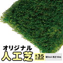 【人工芝】 N-EXTオリジナル人工芝 (芝丈35mm) 【幅1m×長さ10m】 質感・性能・価格にこだわった高級人工芝ロール 自然な色合い C型パイル 防炎・耐久性 090101