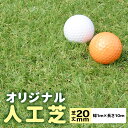 【人工芝】N-EXTオリジナル人工芝 (芝丈20mm) 【幅1m×長さ10m】 質感・性能・価格にこだわった高級人工芝ロール 自然な色合い C型パイル 防炎・耐久性 090089