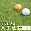 【人工芝】N-EXTオリジナル人工芝 (芝丈40mm) 【幅1m×長さ10m】 質感・性能・価格にこだわった高級人工芝ロール 自然な色合い C型パイル 防炎・...