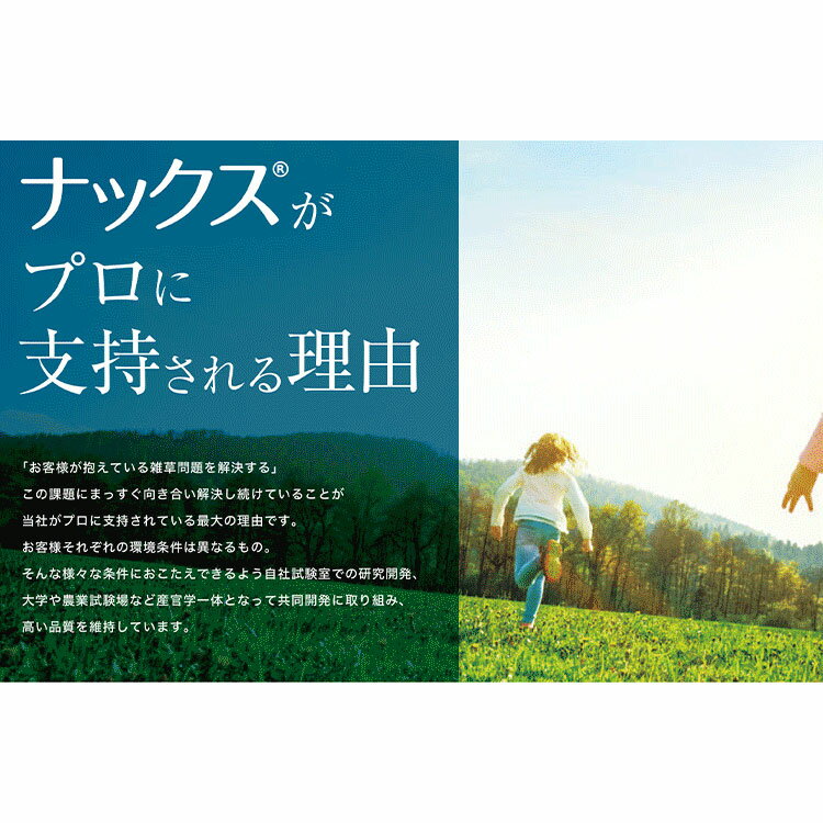 �����𥷡��ȡۡ��ʥå��� S1000(����4.0mm)����1.2m��20m�ۡ��֤ξ�����줬��ǽ�����𥷡��ȡ��⶯�١����פ��ü칽¤���ӿ�����ͥ����־�˥������ᡪ�׸�Ψ99.9%����020028