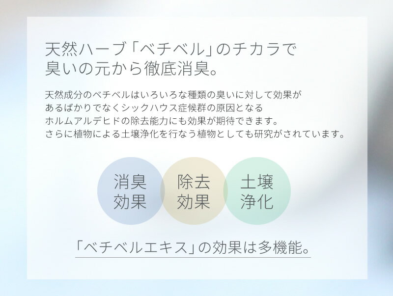 ベチベル 無添加消臭ミスト 50ml 天然ハーブ ボタニカル トイレ ペット 靴 部屋 安心 安全 消臭 エチケット ポケットサイズ 消臭スプレー / oth-ux-ac-1593【宅配便のみ】【消臭ミスト】