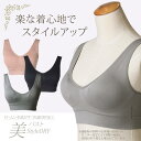 【メール便で送料無料】ノンワイヤーブラ 美バスト Style DRY ブラジャー ナイトブラ スポーツブラ ワイヤーなし レディース/oth-la-in-1500【10】 et 福袋