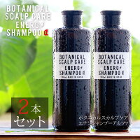 【日本製】 シャンプー メンズ 頭皮と髪を清潔に スカルプケア シャンプー 男性 頭皮ケア フケ かゆみ スカルプケア ボタニカル 男性 化粧品 メンズ コスメ /●at-ux-care-1811-2set【宅配便のみ】【九州工場生産】【国産】