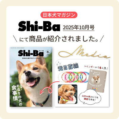 【楽天1位&高評価★4.62】超軽量の光る首輪 【送料無料】発熱しない 首輪 光る 光る首輪 ペット LED首輪 小型犬 中型犬 犬 USB充電式 散歩 安全 ドッググッズ 犬用品 おしゃれ かわいい レインボー USB 犬の首輪 夜間発光首輪 軽量 虹色 LEDライト くびわ 夜 高輝度LED - Image 2
