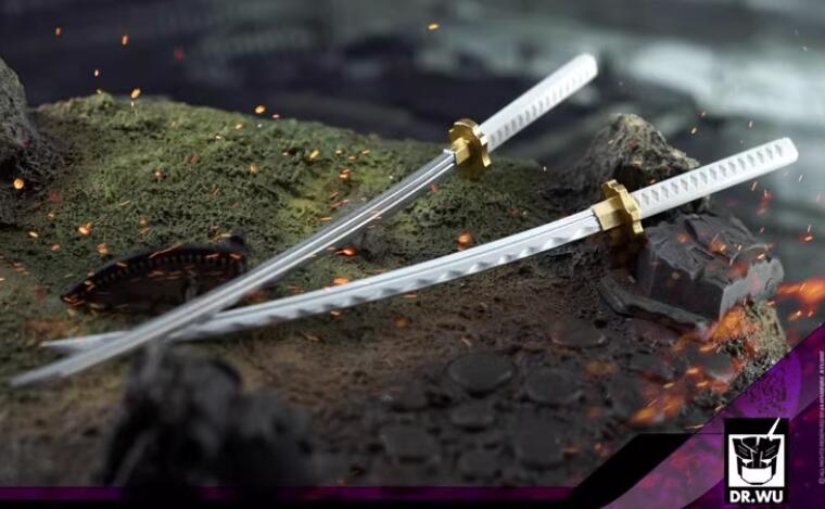 樂天商城 - Dr.Wu Double Pole DW-P34 MP アップグレードキット (本体無し)