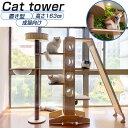 本格 高級 木製 キャットタワー 据え置き 163cm 大型 爪とぎ キャットベッド スロープ 多頭飼い キャットタワー キャットツリー 木材 木製 松 スモール