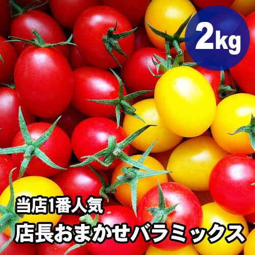 販売は6月下旬頃まで予定　トマト ミニトマト　新鮮　生産者から直送 　当店一番人気！数種類のミニトマトが入った『店長おまかせバラ(パックなし）ミックス』お得な2キログラム　お入れする品種配分は店長におまかせください