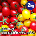 【ネコポス便対応】こだま食品　無添加完熟トマトパウダー200g（100g×2）【おためし】