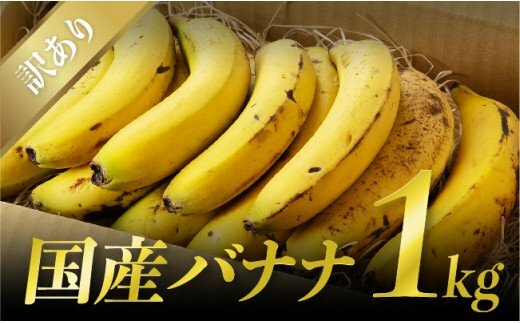 宮崎産農薬不使用「皮まで食べても安心バナナ」訳あり1kg詰め合わせセット(約8前後入り)