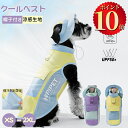 \ポイント10倍/ 犬用クールベスト 冷感 冷却ベスト セット 保冷剤おまけ 犬服 大型犬 中型犬 ひんやりベスト 犬用夏服 冷却コート 通気性 熱中症対策 日焼き防ぐ お出かけお散歩 ドッグウェア クールウェア 夏服 通気 接触涼感 ひんやり 紫外線対策 脱毛保護