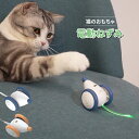 猫おもちゃ 電動ねずみ ウィキッドマウス 自動式 光るしっぽ インタラクティブおもちゃ USB充電式 簡単操作 充分スピード感 飽きない お留守番に 運動不足 ...