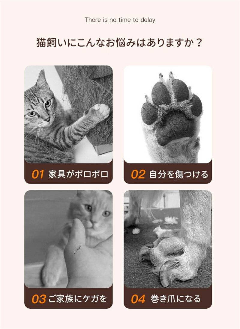 ǭ���ڤ� �����ڤ� ¿��ǽ �ڥå������ڤ� �ͥ���å����å��� LED�饤���դ� �˥åѡ��� �� �ޥ䥹�� �����ޤȤ� �ͥ��륱�� ����ѥ��� �������Ӥ䤹�� ��ñ��� �鿴�Ԥˤ� �ڤꤹ���ɻ� ���ӻ��ꥬ���� �ڤ�̣ ���ȥ쥹�ڸ� ���淿�ڥå�