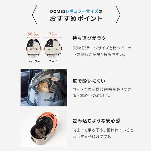【2000円クーポン対象】エアバギーフォードッ...の紹介画像2