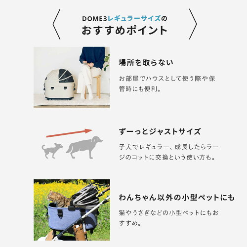 【2000円クーポン対象】エアバギーフォードッ...の紹介画像3