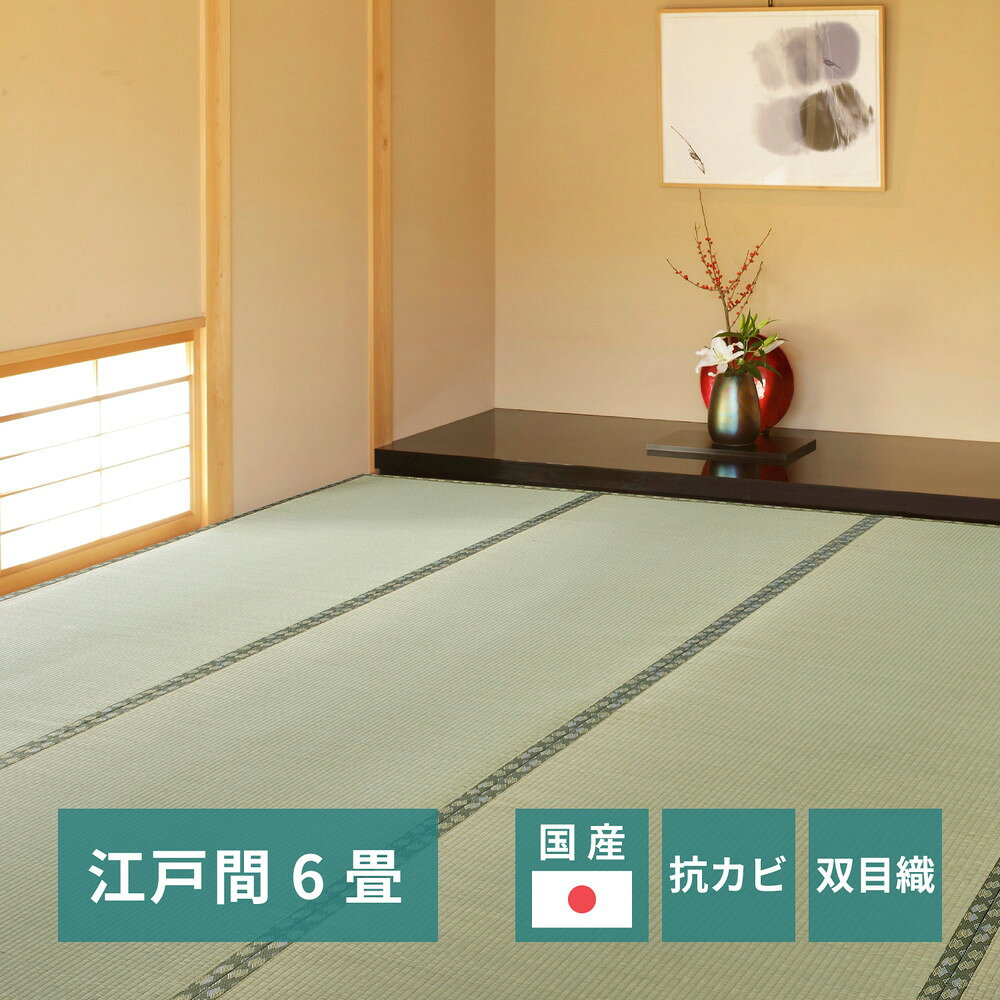 Rakuten - 【11日01：59まで5％OFF！】国産い草カーペット 天草 江戸間 6帖（261×352）