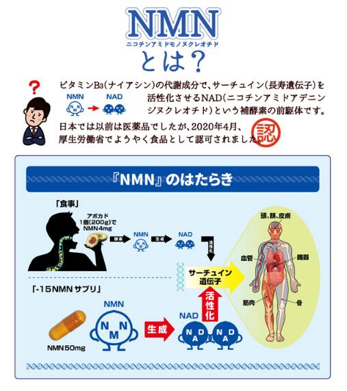 -15NMNサプリメント　 栄養機能食品　60粒入り　3ヶ月分 nextglobal-10000448 GREEN PARK SHOP サンプル画像2