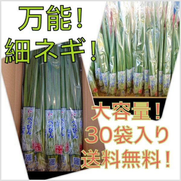 商品説明 名称 細ねぎ(万能ねぎ) 生産地 国産(時期により産地が変わります) 内容量 30束入 ※発送に使用する箱はイメージと異なる場合がございます。予めご了承ください。 ※時期により産地が変わりますので、必ずご確認ください。 ※天候・入荷状況によっては発送日が遅れる場合がございますので、お届け日のご指定は不可となっております。 ※送料無料ライン対象商品について 常温配送の商品に限り、3,980円以上のご購入で送料無料！ (沖縄県宛は9,800円以上のご購入で送料無料) 但し、1つにまとめて配送できない場合は、別途送料が必要となる場合があります。