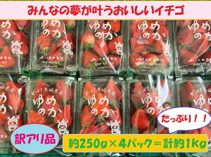 【たっぷり大容量♪】長崎県産ゆめのか　約250g×4パック