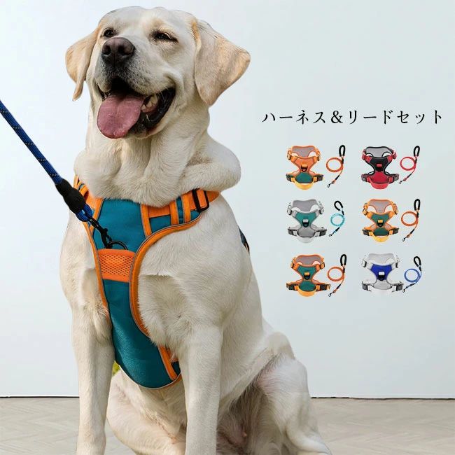 カラバリ豊富 お出かけ 散歩 脱げない 抜けにくい 通気性 ベルト調節可 装着簡単 反射テープ付き 首輪 ..