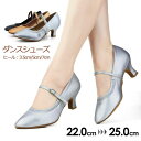 軽量で履きやすく 大きいサイズ モダン、ラテン兼用社交ダンスシューズ イベント 発表会 演出 練習用 レディース靴