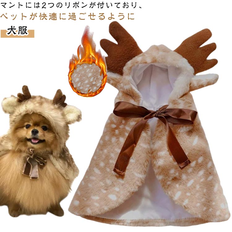 ���磻�� �ڥå����� �ѡ��ƥ��� ���ꥹ�ޥ� ��ǰ���� �̿� ���� ���� ���磻�� �İ��� �� �������塼�� �����ץ� �ȥʥ��� ˹��