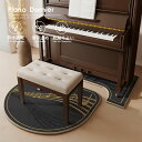 滑り止め加工 敷物 カーペット 電子ピアノ 吸水性 防音マット 防音ラグ 2点セット マット フロア アップライトピア