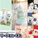 ハーネス リード付 ペット 服 デザイン ウェアハーネス 胴輪 キャット ドッグ