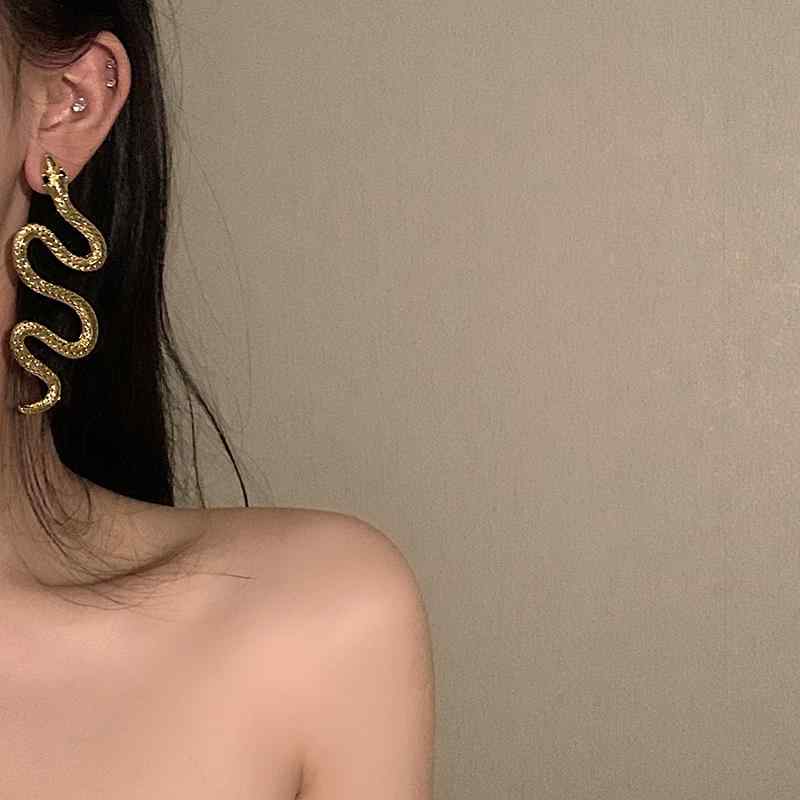 高級感 不要 ピアス イヤリング レディース 冷たい 耳骨 クリップ イヤー イヤーフック ヘビ型 BXA