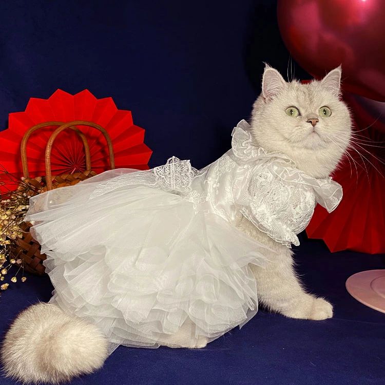 お祝い チワワ 子猫成猫 ウェディング ペットウェア 中型犬 小型犬 真っ白フォーマルドレス ホワイト ..