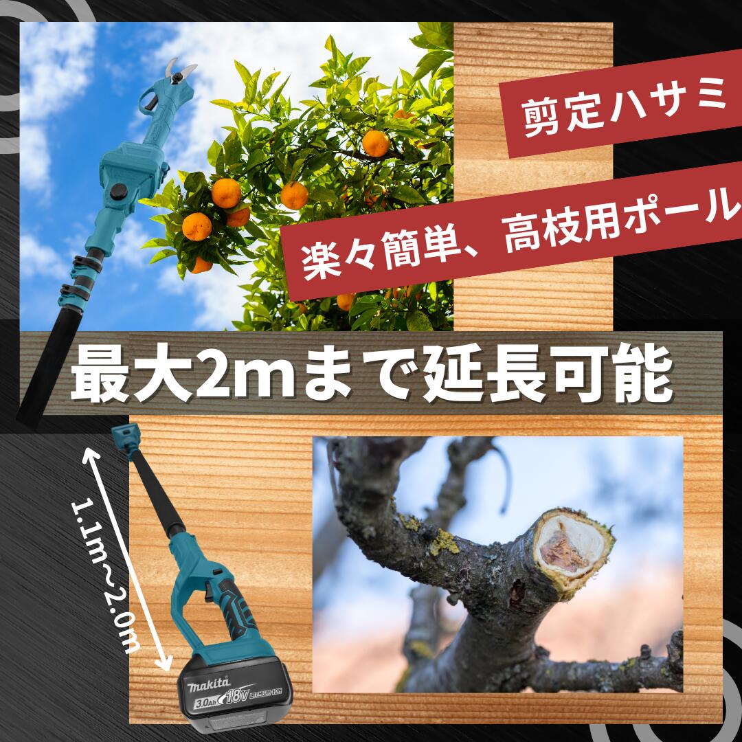 �ޥ��� ��Ĺ�ݡ��륢���å����� �ߴ� 1.1m-2.0m ���̼� ����ڤ� ��ư�ϥ��� �б� 18V �Хåƥ꡼�б� ����Ĵ�� ���ݤ��٥���դ� ����1.4kg ����� ��� ���� Longsafe(EXPL2001/1��)