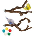 2本セット インコ とまり木 天然ブドウの木 爪とぎパーチ インコ 止まり木 爪を研ぎ 鳥スタンド 枝 インコ おもちゃ 鳥おもちゃ 噛むおもちゃ 鳥用品 鳥休み場所 インコ オウム パーチ バランス練習 おもちゃ ストレス解消 取り付け簡単 ケージ