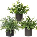インテリア グリーン フェイクグリーン 人工 観葉植物 フェイク 卓上 鉢植え 造花 テーブルデコレーション エアプランツ かわいい おしゃれ ギフト (3, ...