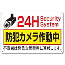 監視カメラ作動中 プレート 防犯カメラ作動 注意看板 警告サイン 安全標識 軽量 アルミ製 30cm×20cm 防水 屋外 屋内